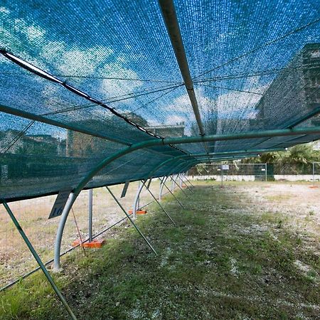 Hotel Le Soleil سان بنيديتّو ديل ترونتو المظهر الخارجي الصورة